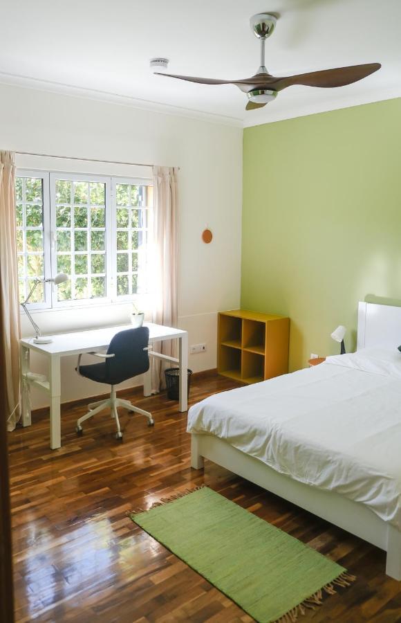 Lava Acores Coliving & Coworking Ribeira Grande Zewnętrze zdjęcie