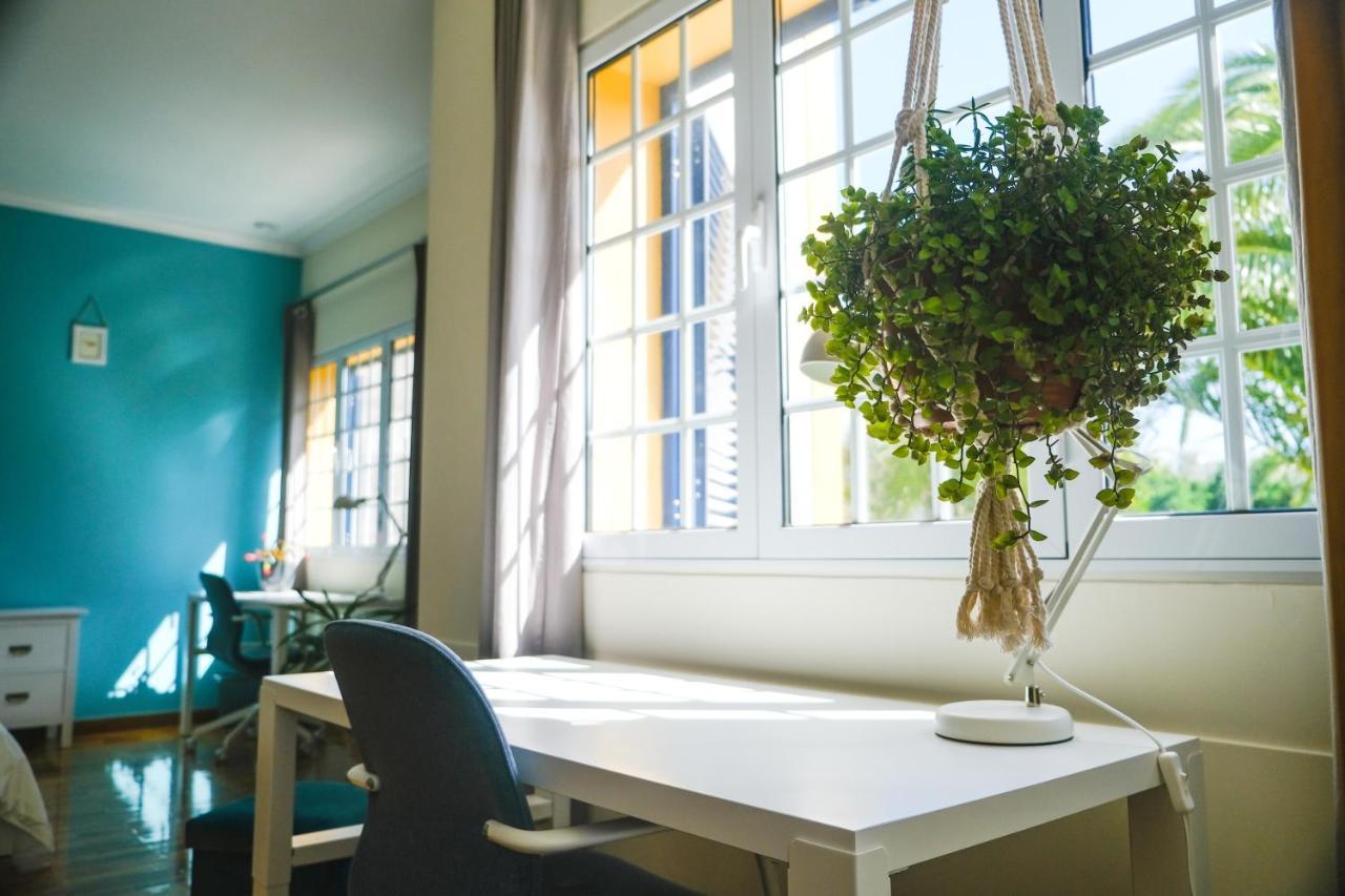 Lava Acores Coliving & Coworking Ribeira Grande Zewnętrze zdjęcie
