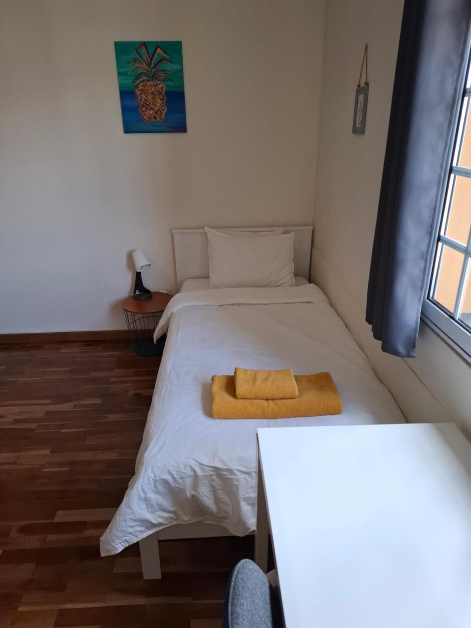 Lava Acores Coliving & Coworking Ribeira Grande Zewnętrze zdjęcie
